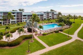 Loggerhead 282